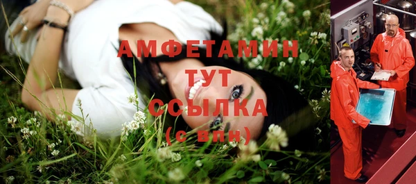 амф Алагир